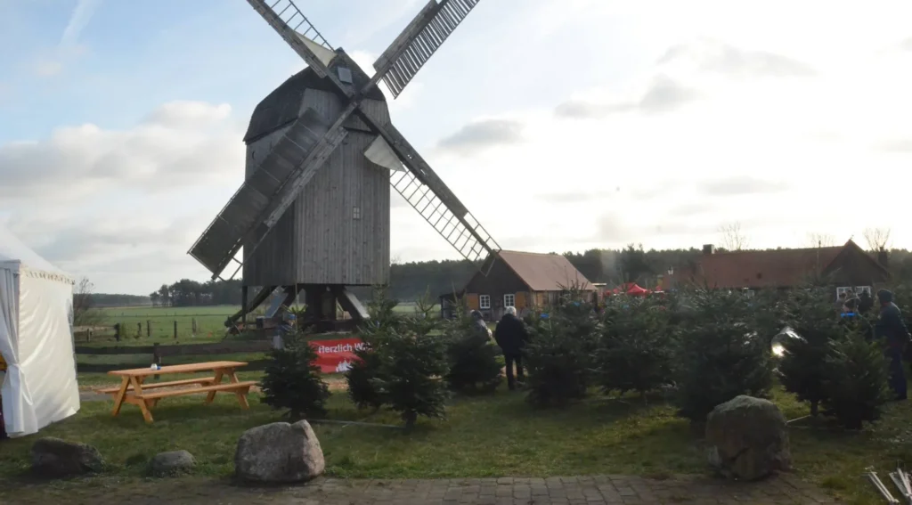 E.ON Weihnachtsbaumschlagen Location